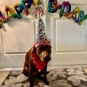 Meet your Posher, Danny